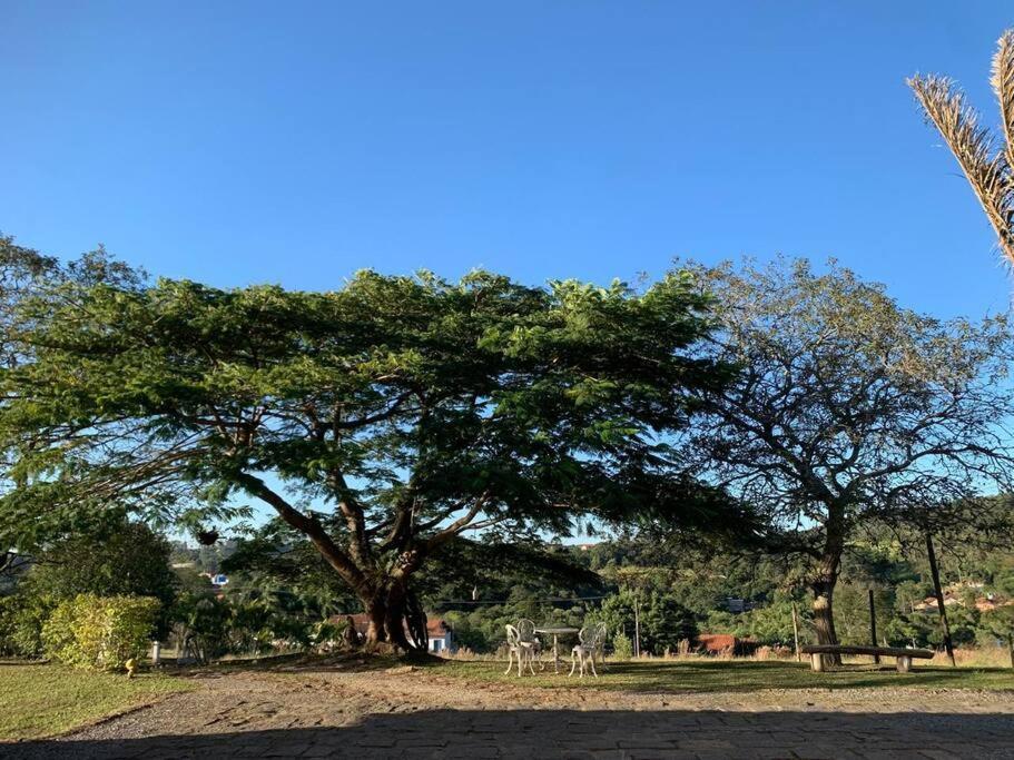 הוילה São Roque Quarto Dos Vinhos מראה חיצוני תמונה